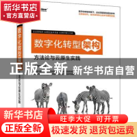 正版 数字化转型架构:方法论与云原生实践 王思轩 电子工业出版
