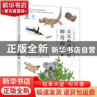 正版 走近地球上的神奇动物.下 小象科学编委会主编 北京联合出版