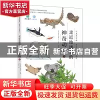 正版 走近地球上的神奇动物.下 小象科学编委会主编 北京联合出版