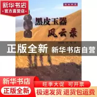 正版 黑皮玉器风云录 陈逸民,陈莺著 上海大学出版社 9787