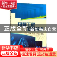 正版 国际工程风险管理 杨琳,陈晓华,杨海红 武汉大学出版社 9787