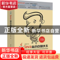 正版 Java从小白到大牛 关东升著 清华大学出版社 9787302491361