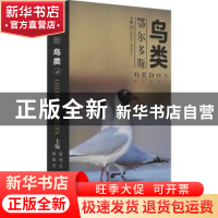 正版 鄂尔多斯鸟类(精) 编者:吴佳立//吴佳正|责编:云高娃//王福
