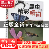 正版 昆虫精彩瞬间 (日)石井诚著 河南科学技术出版社 9787572504