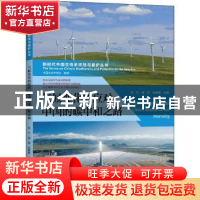 正版 气候变化的应对:中国的碳中和之路:China's road to carbon