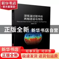 正版 深低温过程中的两相流动与传热 陈建业 华中科技大学出版社