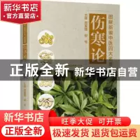 正版 伤寒论 周重建,郭号主编 天津科学技术出版社 978755769614