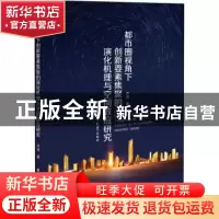 正版 都市圈视角下创新要素集聚的演化机理与空间效应研究 许泱著