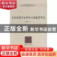 正版 文化视域下的对外汉语教学研究 唐智芳著 湖南师范大学出版