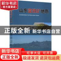 正版 山东富铁矿地质(精) 高继雷[等]编著 中国地质大学出版社 97