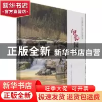 正版 印象园博:河北省第四届(邯郸)园林博览会 《印象园博——河