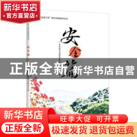正版 “南粤品质工程”理念与实践系列丛书 安全篇 广东省南粤交