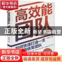正版 高效能团队:如何快速打造一支高能量铁军团队 沈柏宇 中国