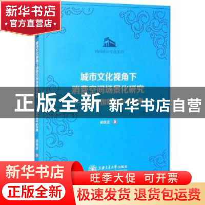 正版 城市文化视角下消费空间场景化研究--以中国购物中心为例/休