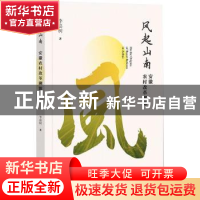 正版 风起山南(安徽农村改革溯源) 李嘉树 社会科学文献出版社 97