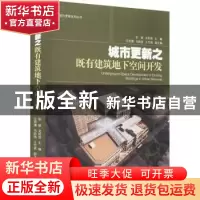 正版 城市更新之既有建筑地下空间开发 张敏,龙莉波主编 同济大