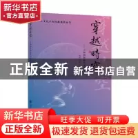 正版 穿越时空--上海网络游戏业的传奇/文化产业经典案例丛书 编