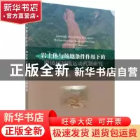 正版 岩土体与场地条件作用下的滑坡碎屑流运动机制研究 樊晓一