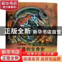 正版 洞穿世界 折叠的生命史 [美]阿瑟·约翰·霍梅迪厄 中国友谊出