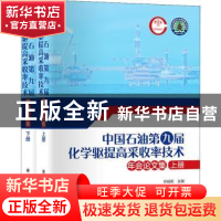 正版 中国石油第九届化学驱提高采收率技术年会论文集 孙福街主编