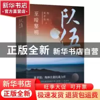 正版 队伍:至暗黎明 黄孝阳//陶林 北京十月文艺出版社 978753021