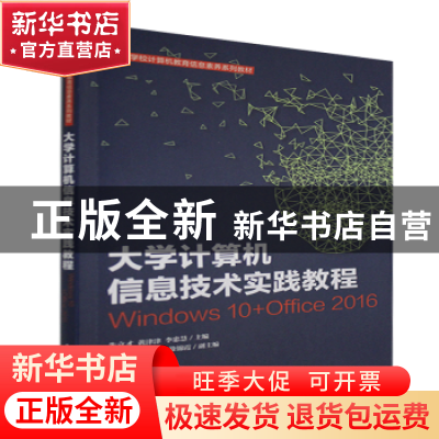 正版 大学计算机信息技术实践教程:Windows 10+Office 2016 朱立