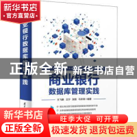 正版 商业银行数据库管理实践 王飞鹏[等]编著 清华大学出版社 97