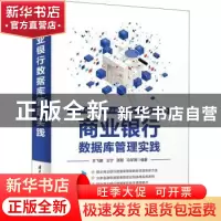 正版 商业银行数据库管理实践 王飞鹏[等]编著 清华大学出版社 97
