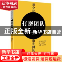 正版 用会议激发团队效能:打磨团队 (日)堀公俊,(日)加藤彰,(