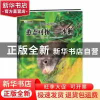 正版 憨态可掬:水獭 狂野动物绘本编委会编 黑龙江美术出版社 978