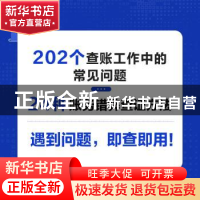 正版 查账实务速查手册:高频问题、实用技巧与实战案例 袁小勇,