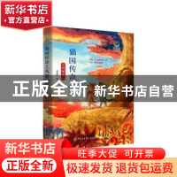 正版 猫国传奇之风掣雷行/致青春中国青少年成长书系 李楚贤 知识