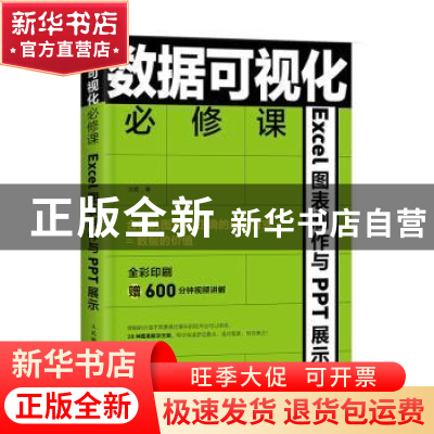 正版 数据可视化必修课:Excel图表制作与PPT展示 沈君 人民邮电出