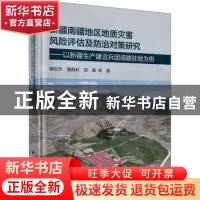 正版 新疆南疆地区地质灾害风险评估及防治对策研究--以新疆生产