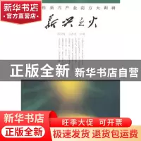 正版 新兴之火:战略性新兴产业南方大调研 杨兴锋,王春芙主编 南