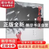 正版 艺术狂人:陈虹飞作品精选 陈玉莲编 河南美术出版社 9787540