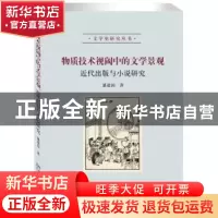 正版 物质技术视阈中的文学景观:近代出版与小说研究 潘建国 北京