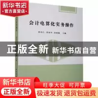 正版 会计电算化实务操作 郭忠仁,周雨冬,孙晓敏主编 北京工业