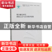 正版 媒介融合时代网络文艺与艺术批评论稿 崔晓 中国财政经济出