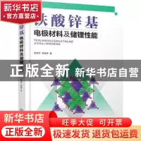 正版 铁酸锌基电极材料及储锂性能 姚金环,李延伟 化学工业出版社