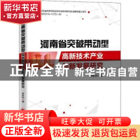 正版 河南省突破带动型高新技术产业创新发展研究 李新功 中国经