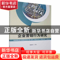 正版 大数据时代下的企业营销行为研究 陈家闯著 北京工业大学出