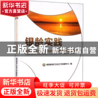 正版 银龄实践:陕西省农村老年协会发展现状调研报告及老年协会典