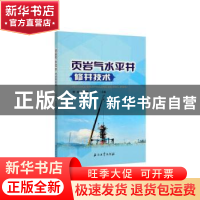 正版 页岩气水平井修井技术 唐庚,唐诗国,吴春林主编 石油工业