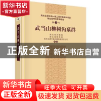 正版 武当山柳树沟墓群 湖北省文物局,湖北省移民局,南水北调中