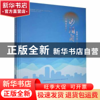 正版 深圳市盐田区沙头角街道年鉴(2020) 《深圳市盐田区沙头角街