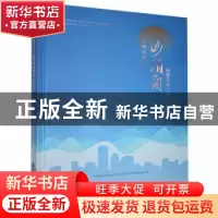 正版 深圳市盐田区沙头角街道年鉴(2020) 《深圳市盐田区沙头角街