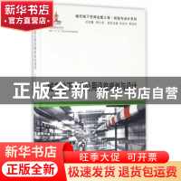 正版 城市地下市政公用设施规划与设计 王恒栋 主编 同济大学出