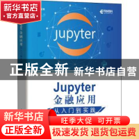 正版 Jupyter金融应用 从入门到实践 傅玉峰,孙惠平,陈钟 人民邮