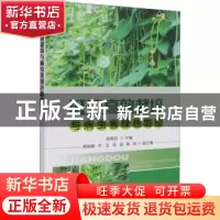 正版 豇豆高效栽培与病虫害绿色防控 陈燕羽 中国农业出版社 9787